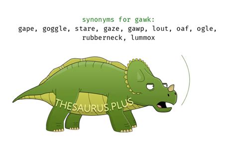 Gawk Synonyms and Antonyms